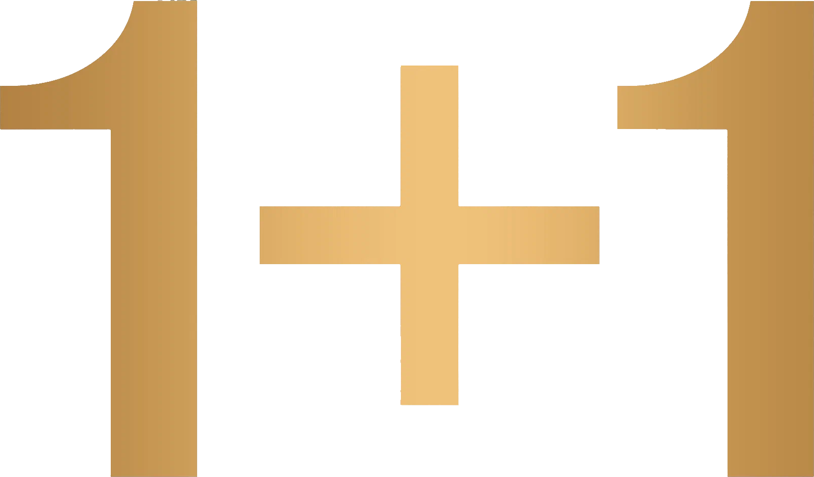 1+1